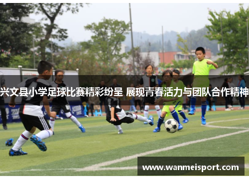 兴文县小学足球比赛精彩纷呈 展现青春活力与团队合作精神