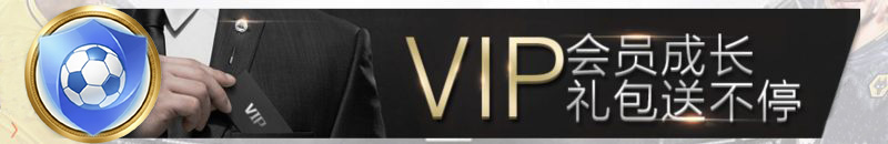 完美VIP会员礼包